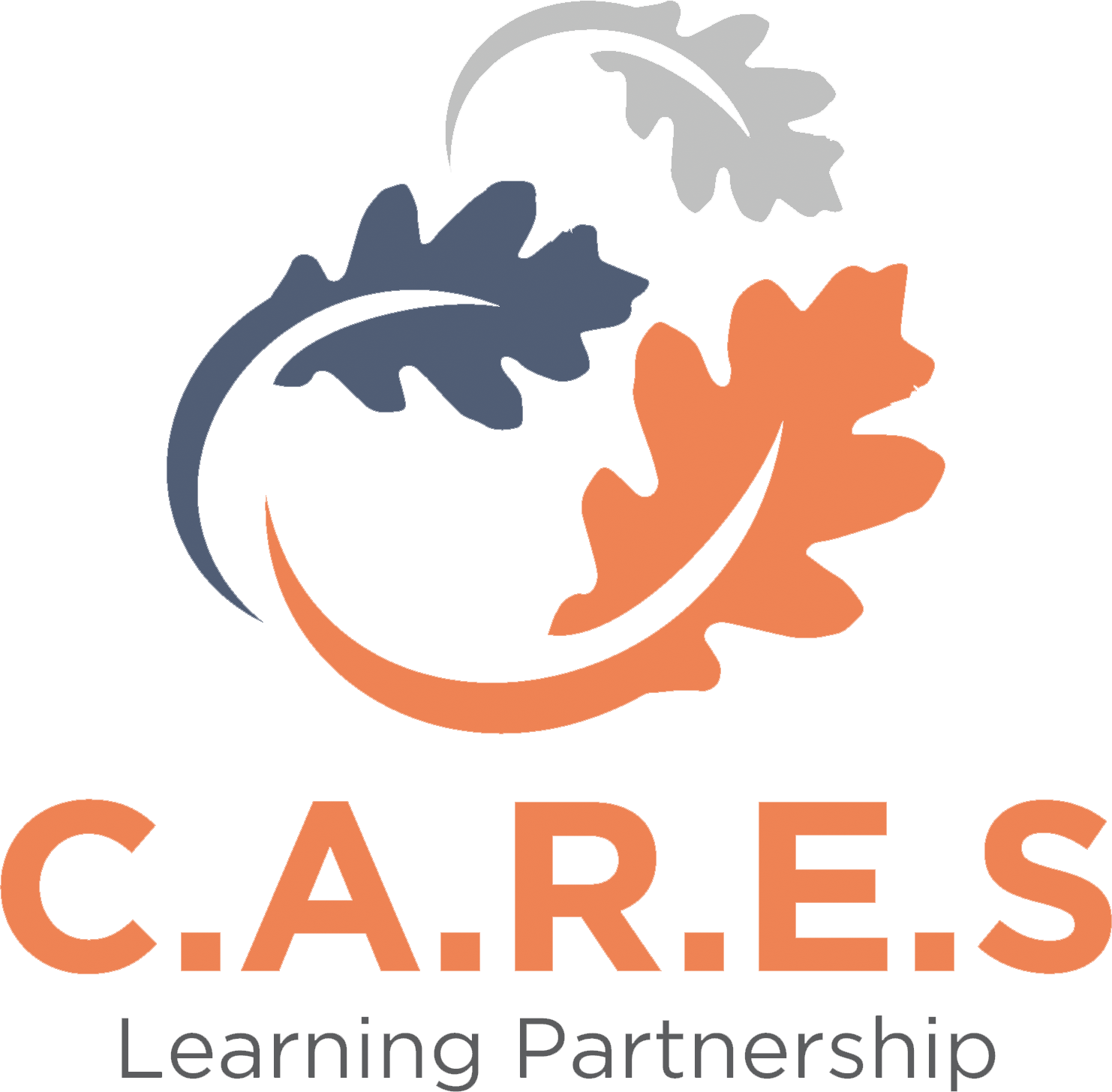 CARES Learning Partnership