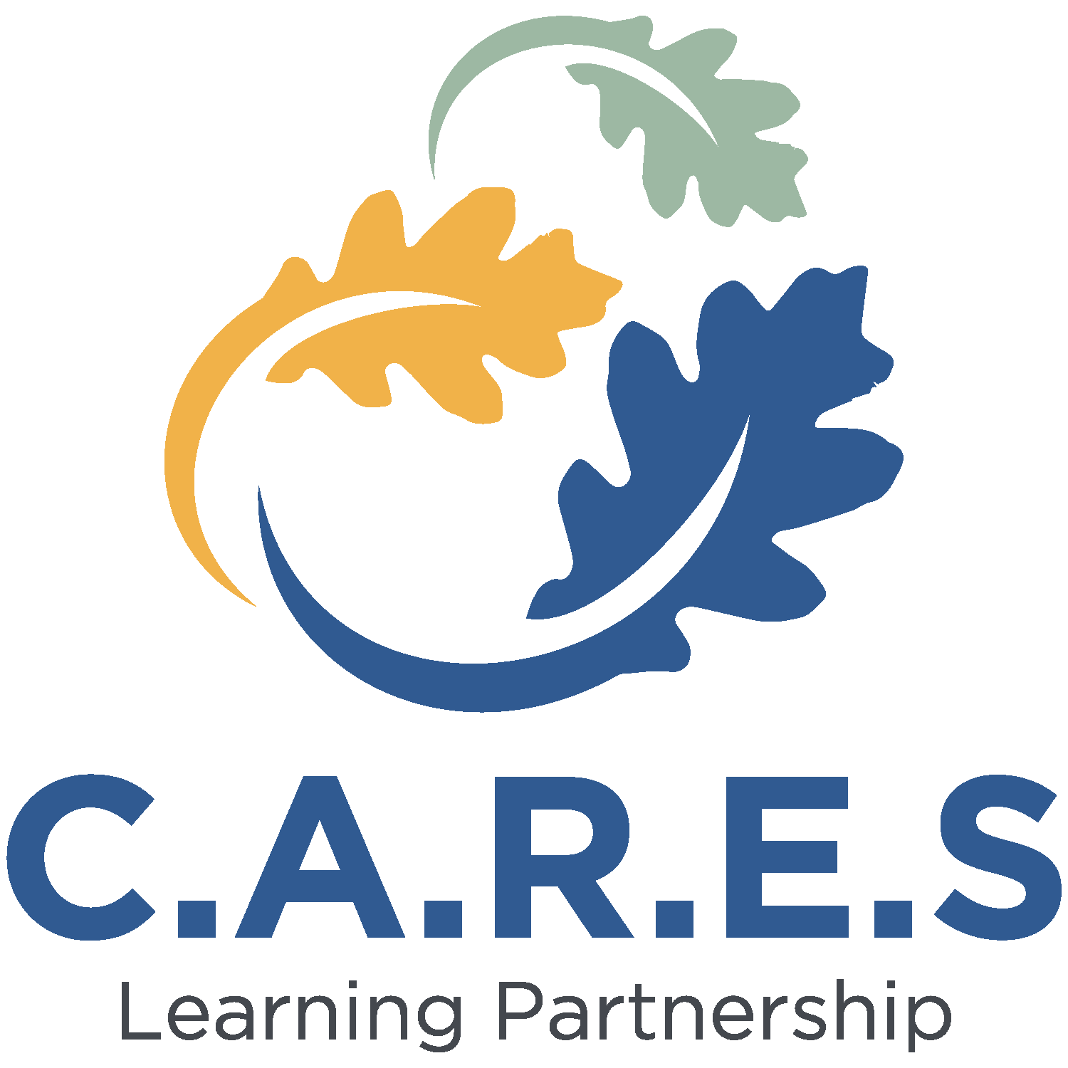 CARES Learning Partnership
